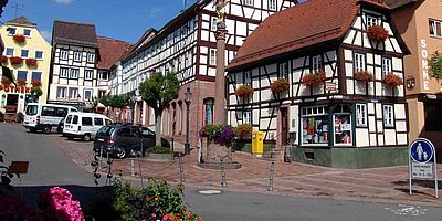 Buchen