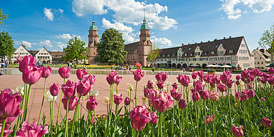 Freudenstadt